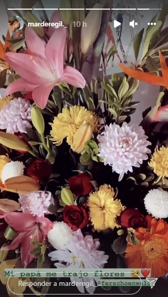 Fernando Schoenwald le lleva flores a Mar de Regil.