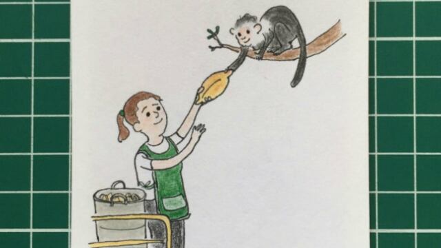 Dibujo de tamalera que le regaló un bolillo al mono capuchino.