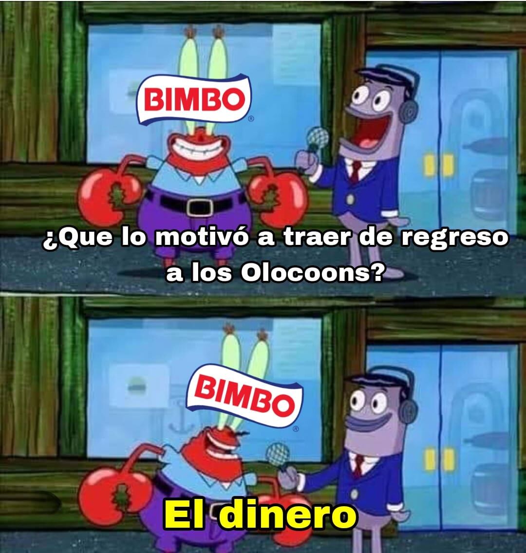 Memes por los Olocoons 2023 de Bimbo