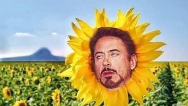 Memes a Christian Nodal por "Girasol"