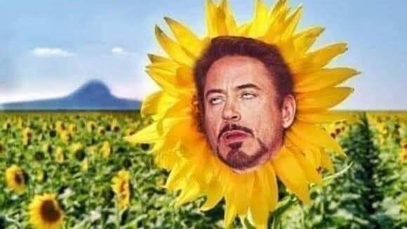 Girasol aleja a Christian Nodal “del buen camino”; memes y críticas le llueven