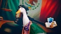 La Ley Merlín busca proteger a los animales que sostienen actividades económicas
