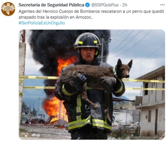 Bombero rescata a perrito de explosión en toma clandestina de Amozoc, Puebla
