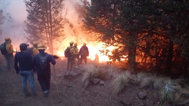 Incendio en Cofre de Perote