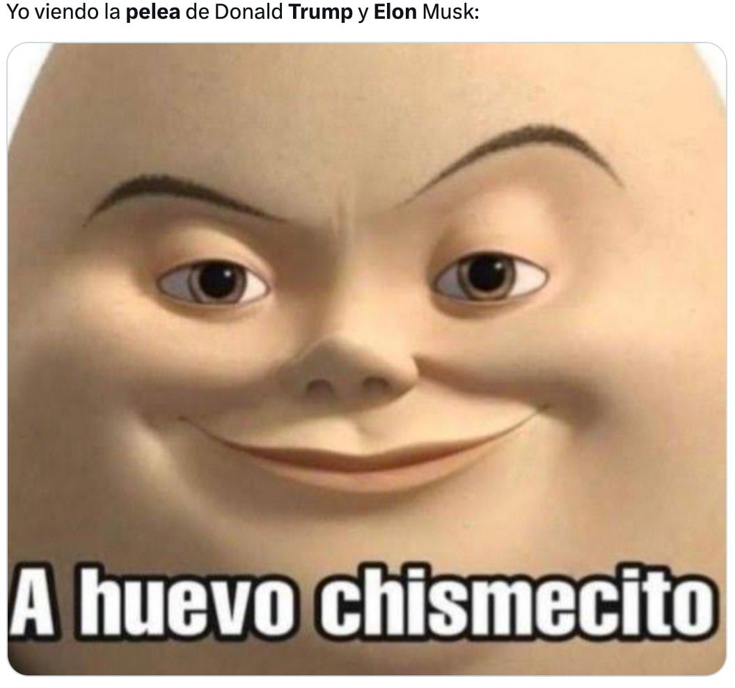Memes de la pelea entre Elon Musk y Donald Trump