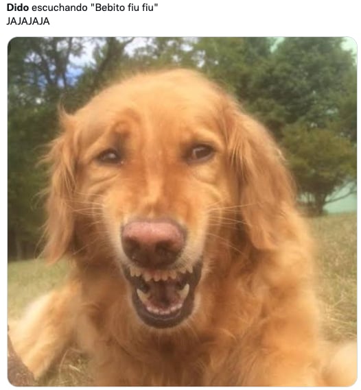 Memes de Dido y Mi bebito fiu fiu