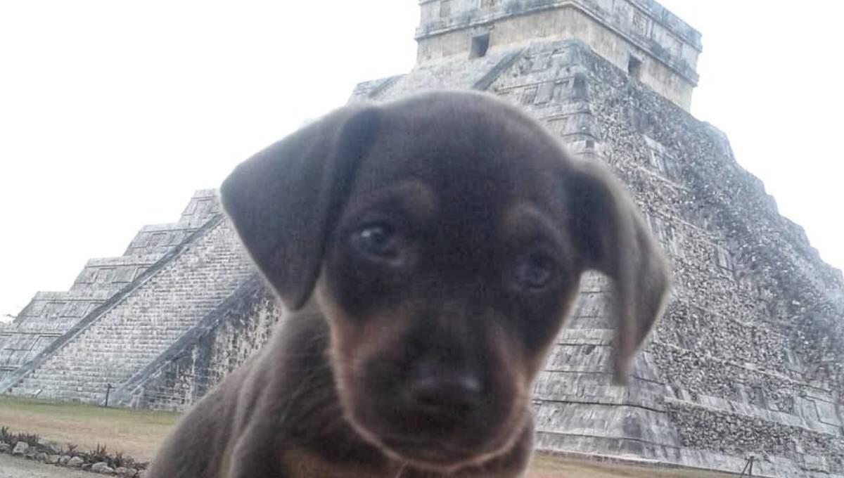 Duke en Chichen Itzá