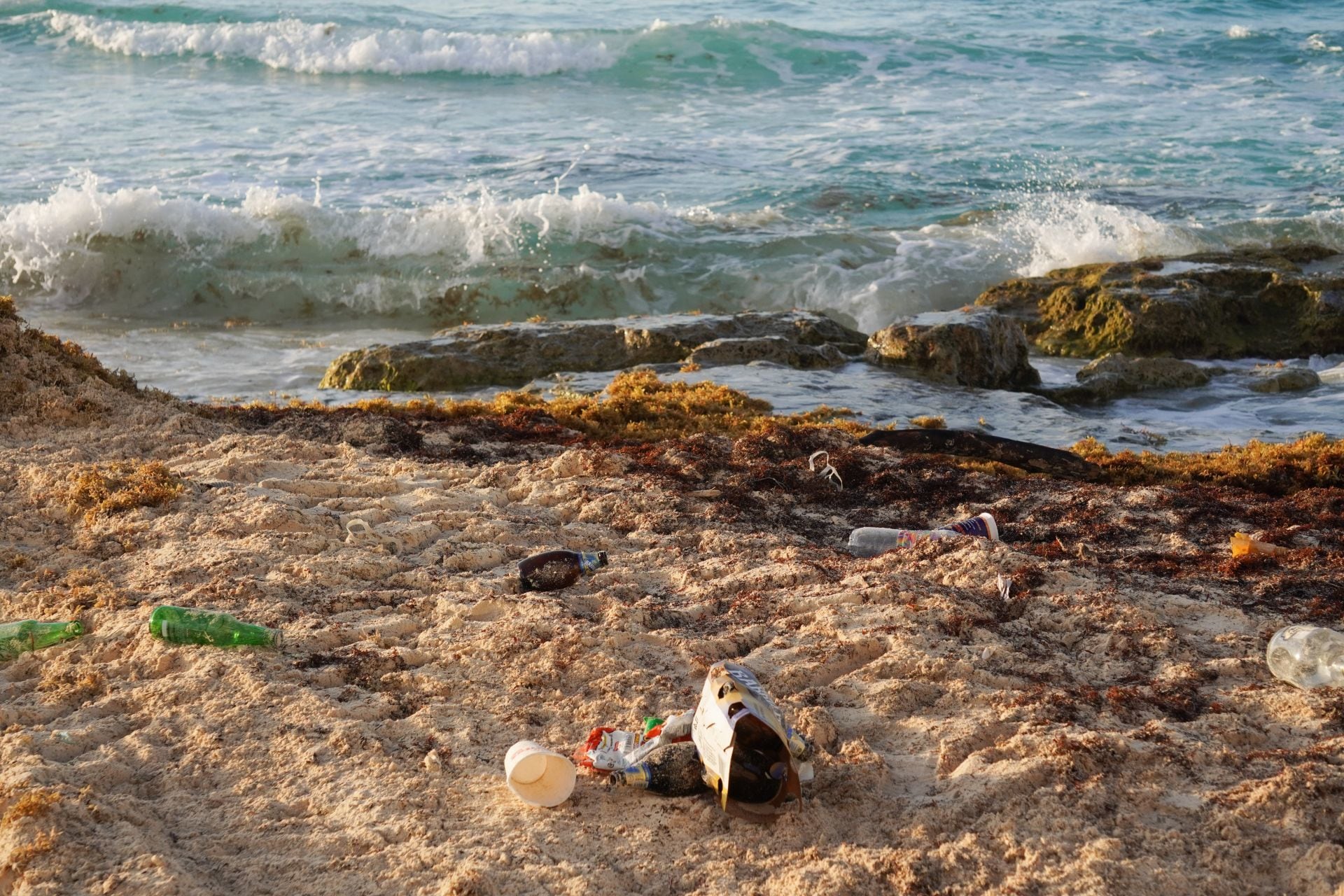 Estas son las playas más contaminadas de México, según Cofepris
