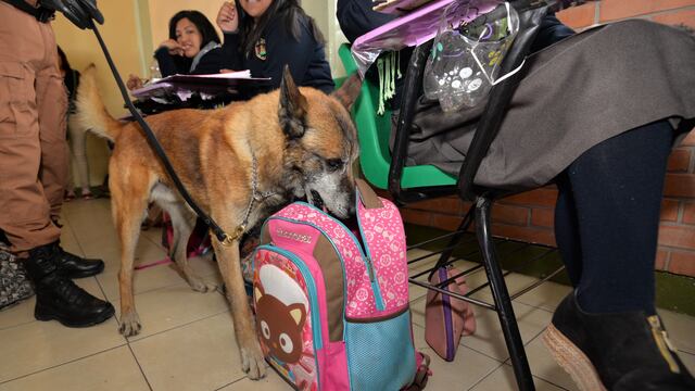 Operativo "Mochila segura"