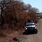 Michoacán: Reportan ataques armados del CJNG en Tepalcatepec