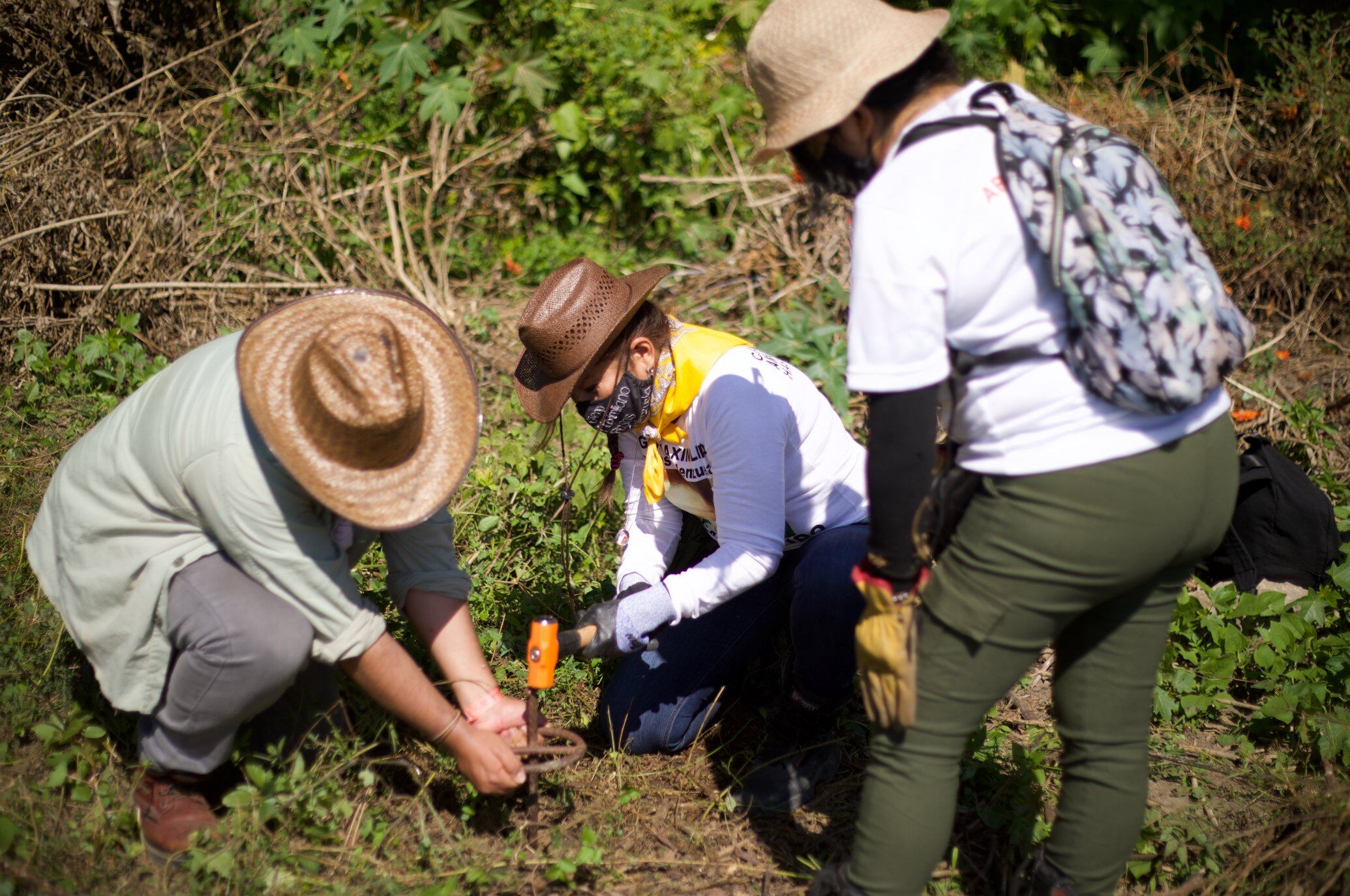 Familias buscando en Morelos