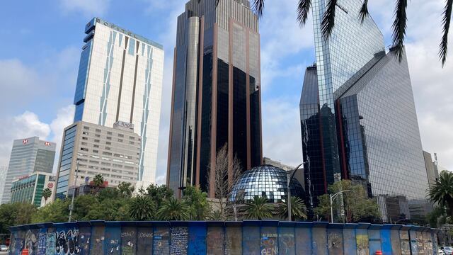 Ahuehuete de Paseo de la Reforma