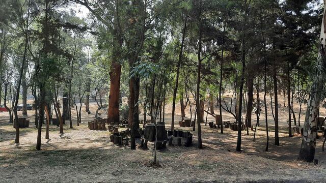 Perros asesinados en Bosque de Nativitas, Xochimilco