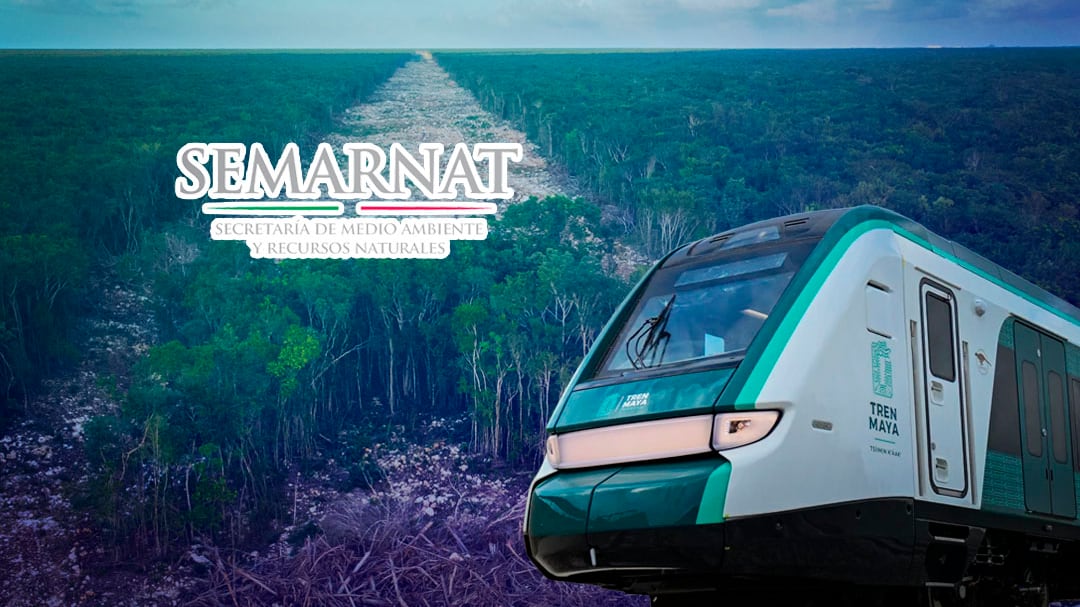Semarnat confirma daños ambientales del Tren Maya, pero reserva datos por 5 años