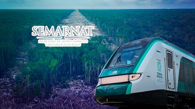 Semarnat revela que datos sobre daños del Tren Maya son reservados.
