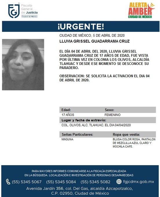 Ficha de búsqueda de Lluvia Grissel.