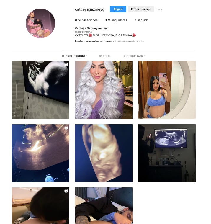 Instagram de Cattleya