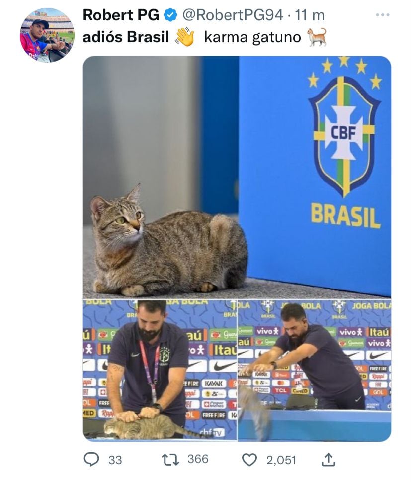 La Selección de Brasil fue víctima de "la maldición del gato".