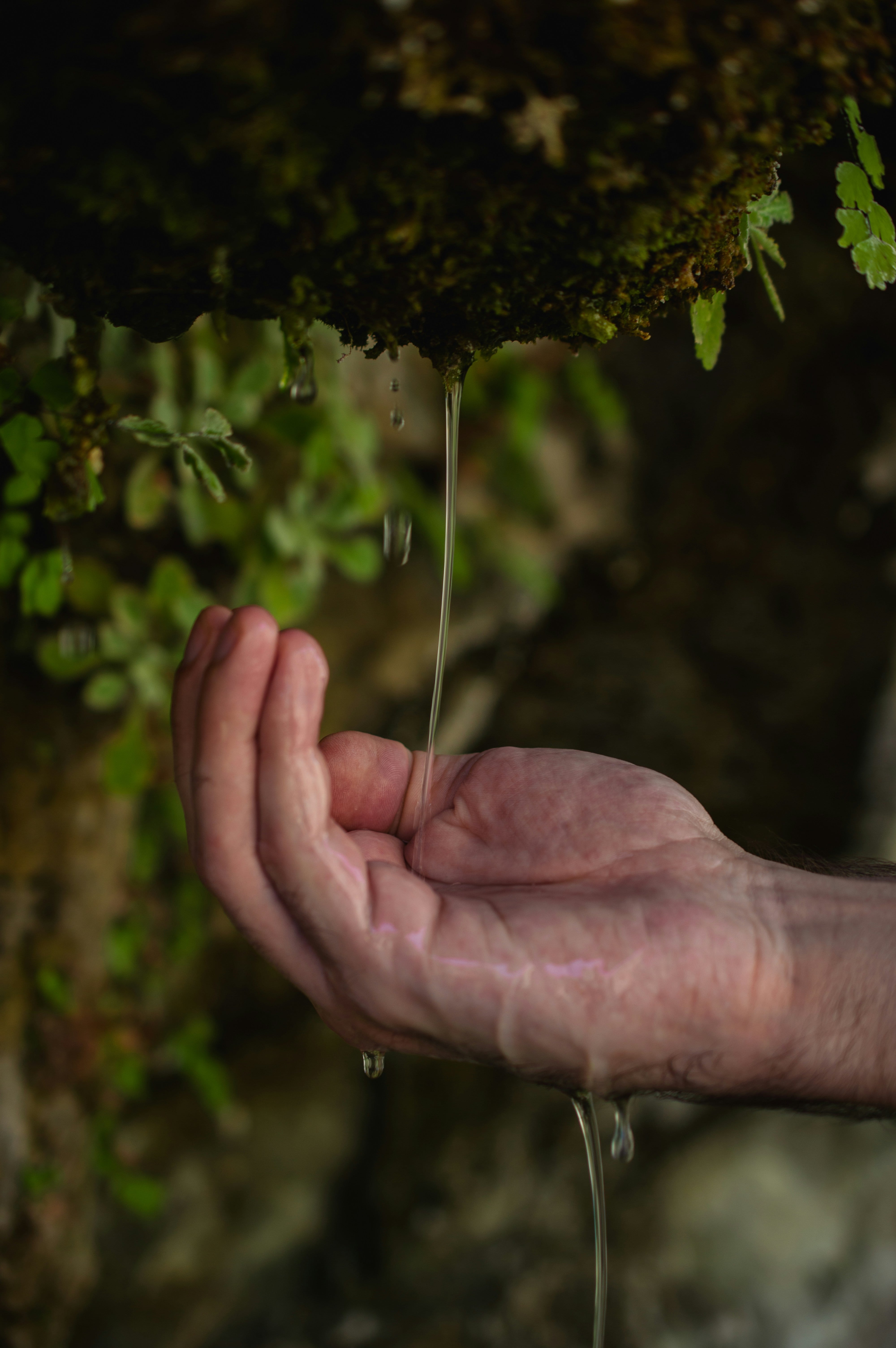 Agua dulce
