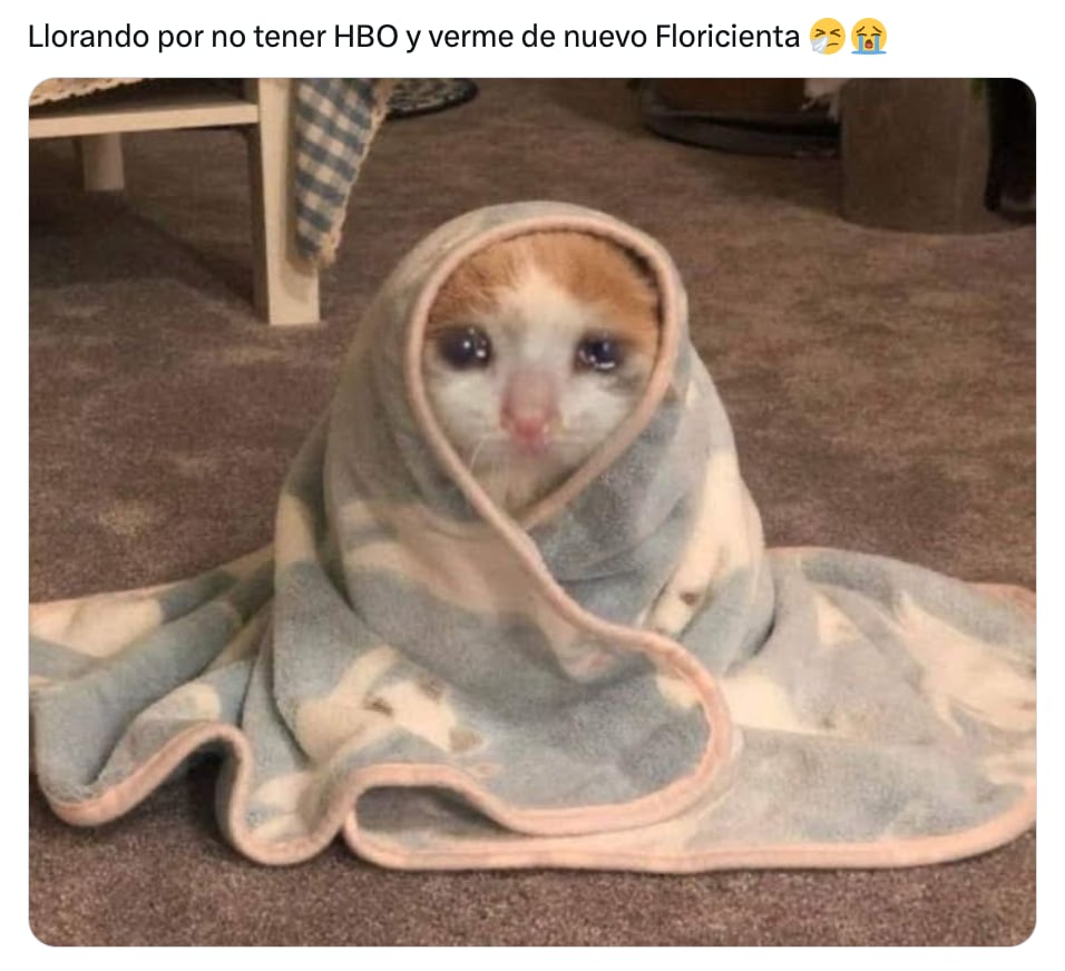 Meme de Floricienta en HBO Max