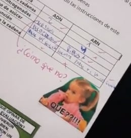 Maestra califica con memes