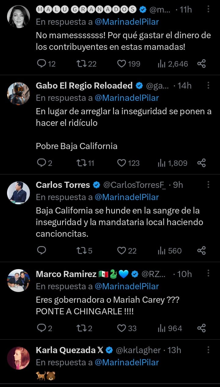 Críticas a Marina del Pilar