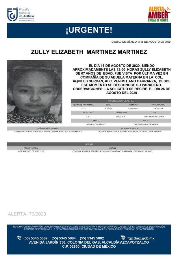 Ficha de búsqueda de Zully