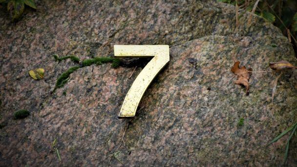 Número 7