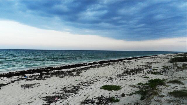 Cozumel ya es Reserva de la Biosfera