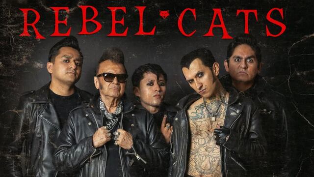 Rebel Cats