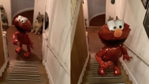 Un globo de Elmo sube las escaleras solo y hay video del escalofriante momento