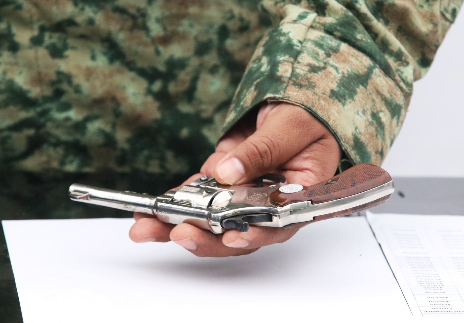 Programa Sí al Desarme, Sí a la Paz