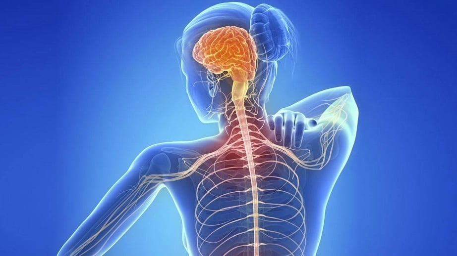 ¿Qué es la esclerosis múltiple, enfermedad que padece Mónica Dossetti, actriz violentada por su hermano?