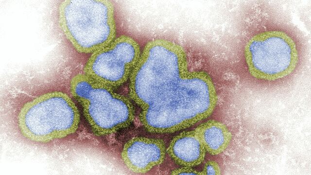Virus B: síntomas y forma de contagio