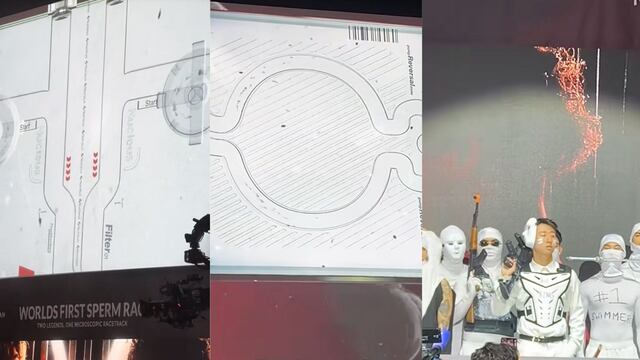 Primer carrera de espermatozoides