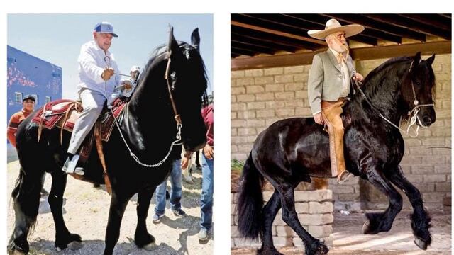 Diego Fernández de Cevallos y AMLO