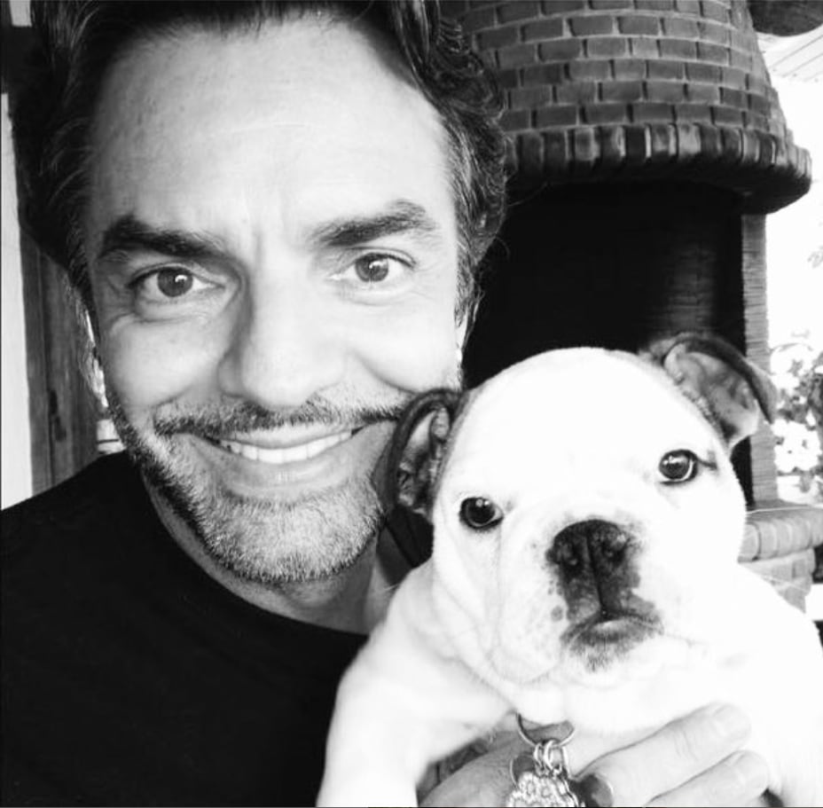 Fiona, la perrita de Eugenio Derbez