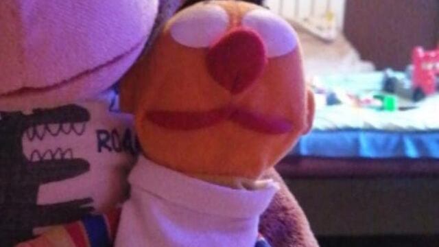 Un niño perdió a su peluche regalado por su abuela fallecida, lo buscan y hasta ofrecen recompensa