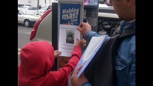 Niño pierde a su dinosaurio peluche y pide ayuda para recuperarlo.