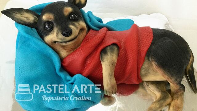 Perrito en forma de pastel