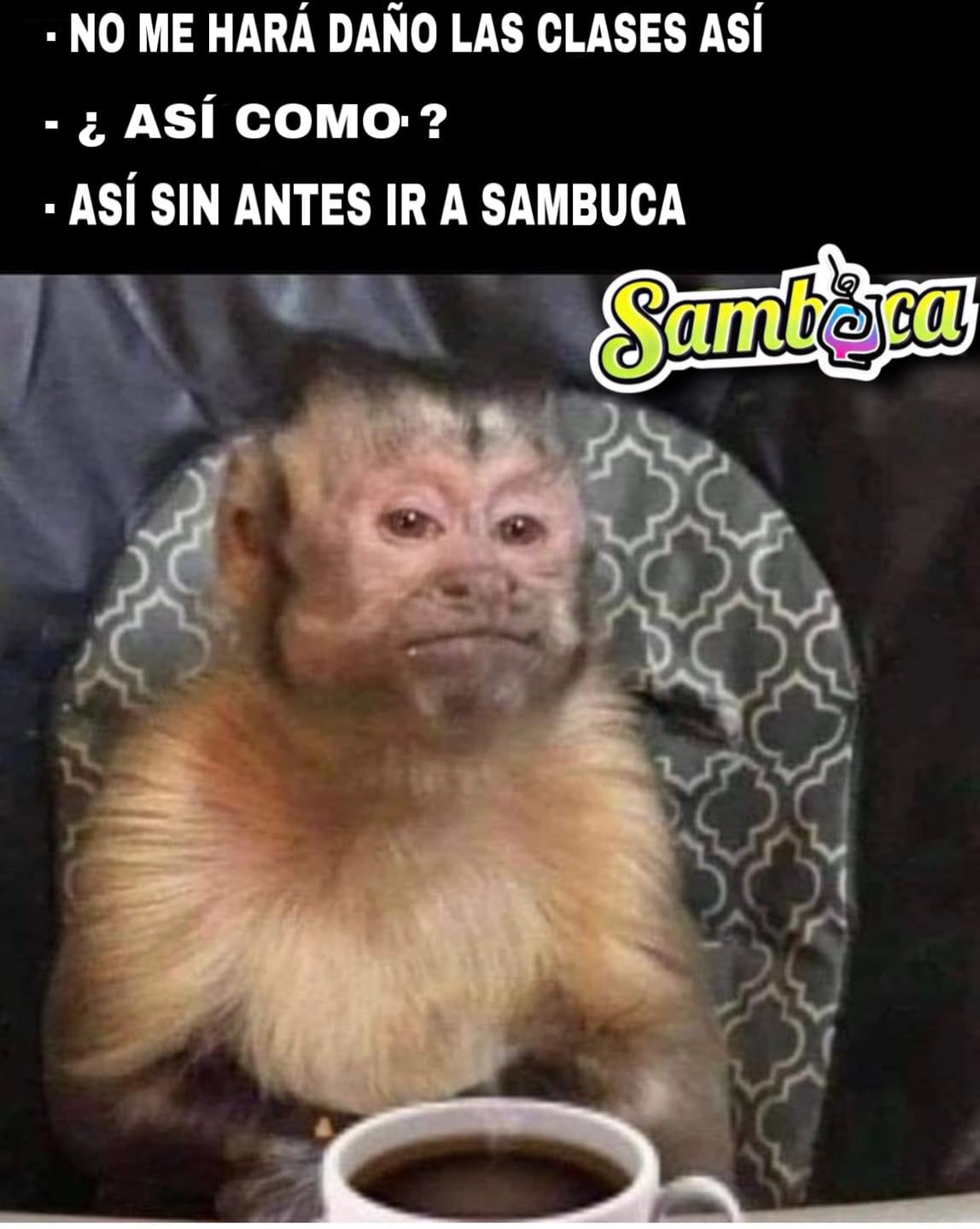 Memes por inauguración del bar Sambuca Copilco
