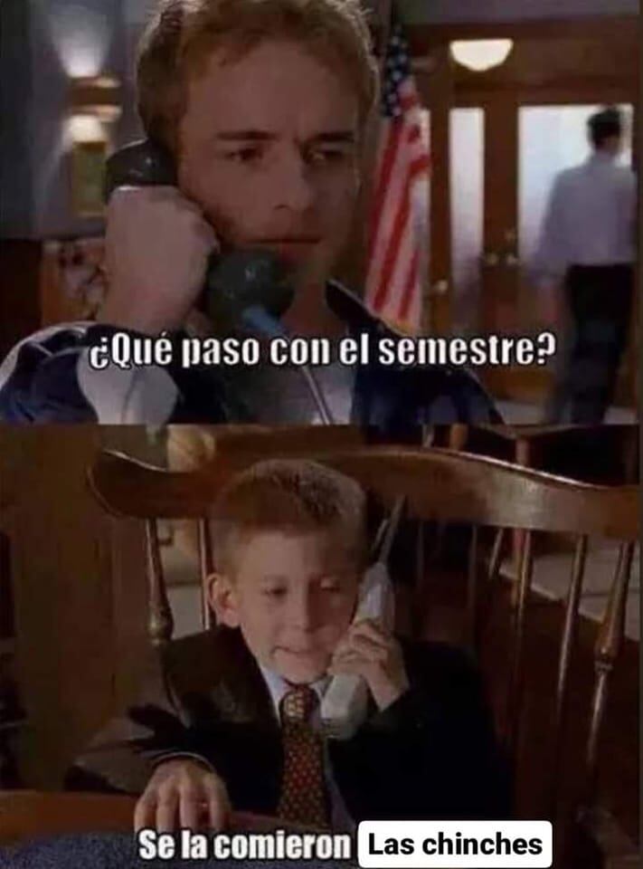 Se desata plaga de memes por chinches de la UNAM
