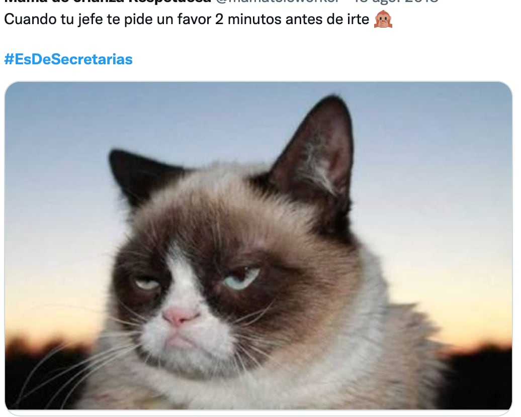 memes día de la secretaría 2022