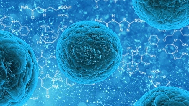 Virus B: síntomas y forma de contagio