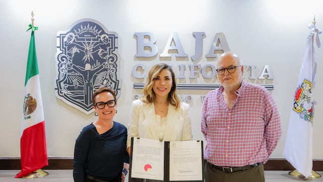 Gobierno busca proteger industria del vino en Baja California