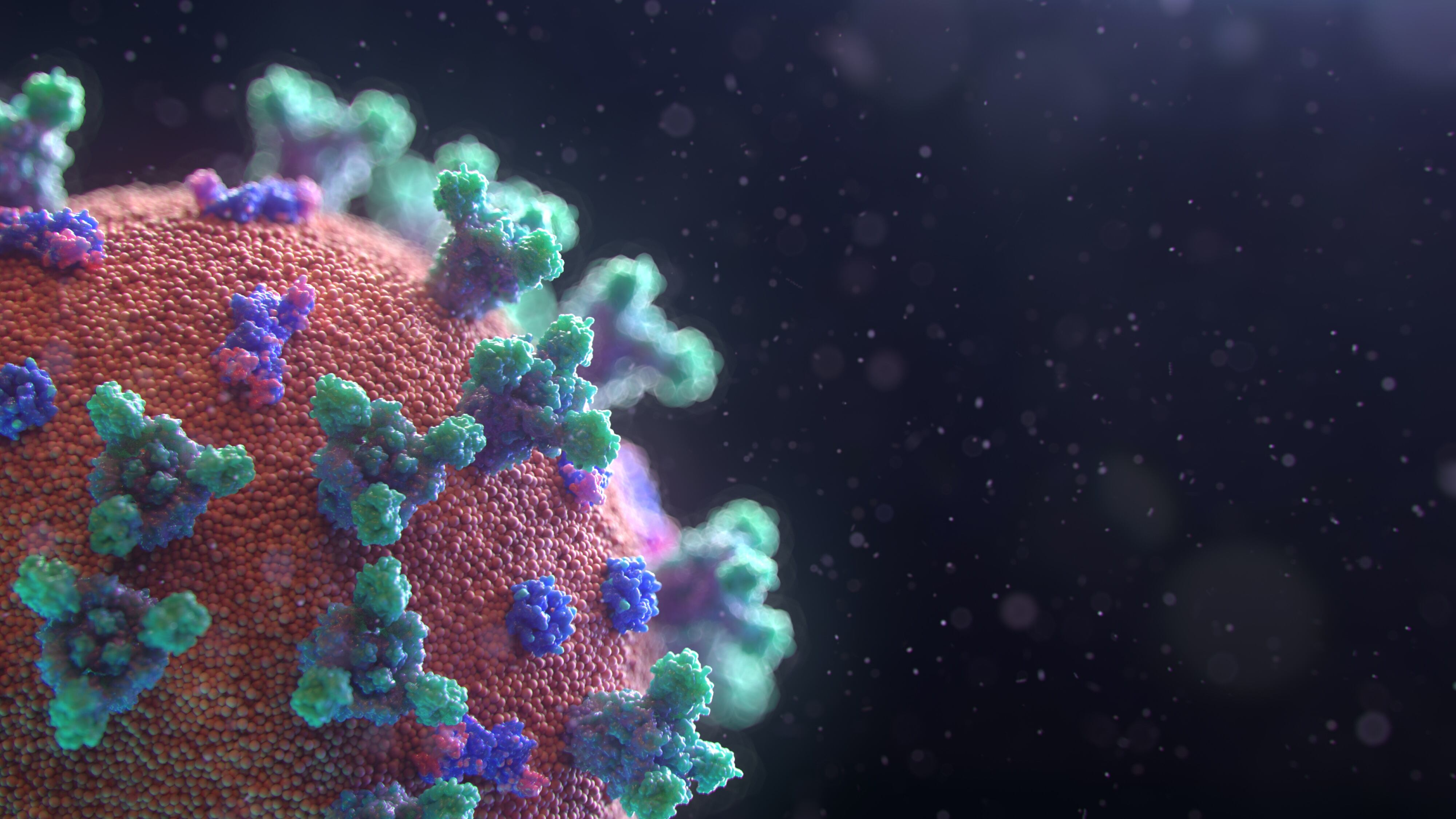 ¿Qué es el virus sincitial respiratorio?