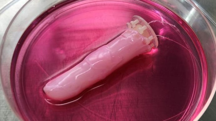 Crean piel viva para robots con capacidad de curarse sola