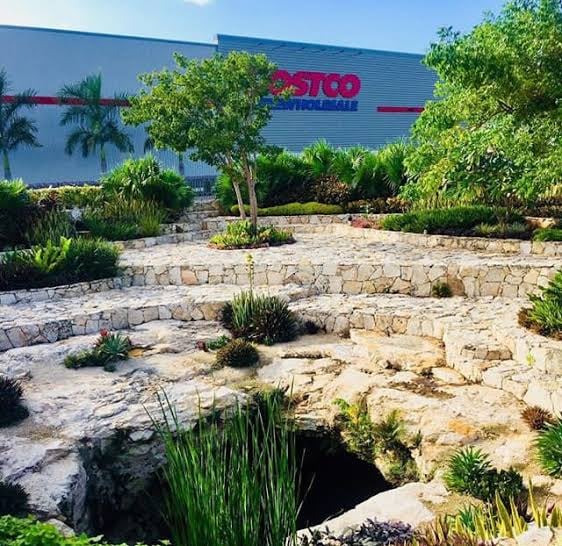 Costco cenote