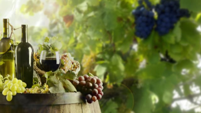 A disfrutar de la Bon Vivant y a hacer inversiones inmobiliarias inteligentes.