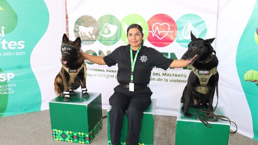 San Luis Potosí presenta acuerdo del Primer Foro Nacional para la Prevención del Maltrato Animal